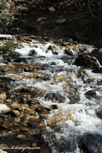 Hike Utah Hidden Falls Creek