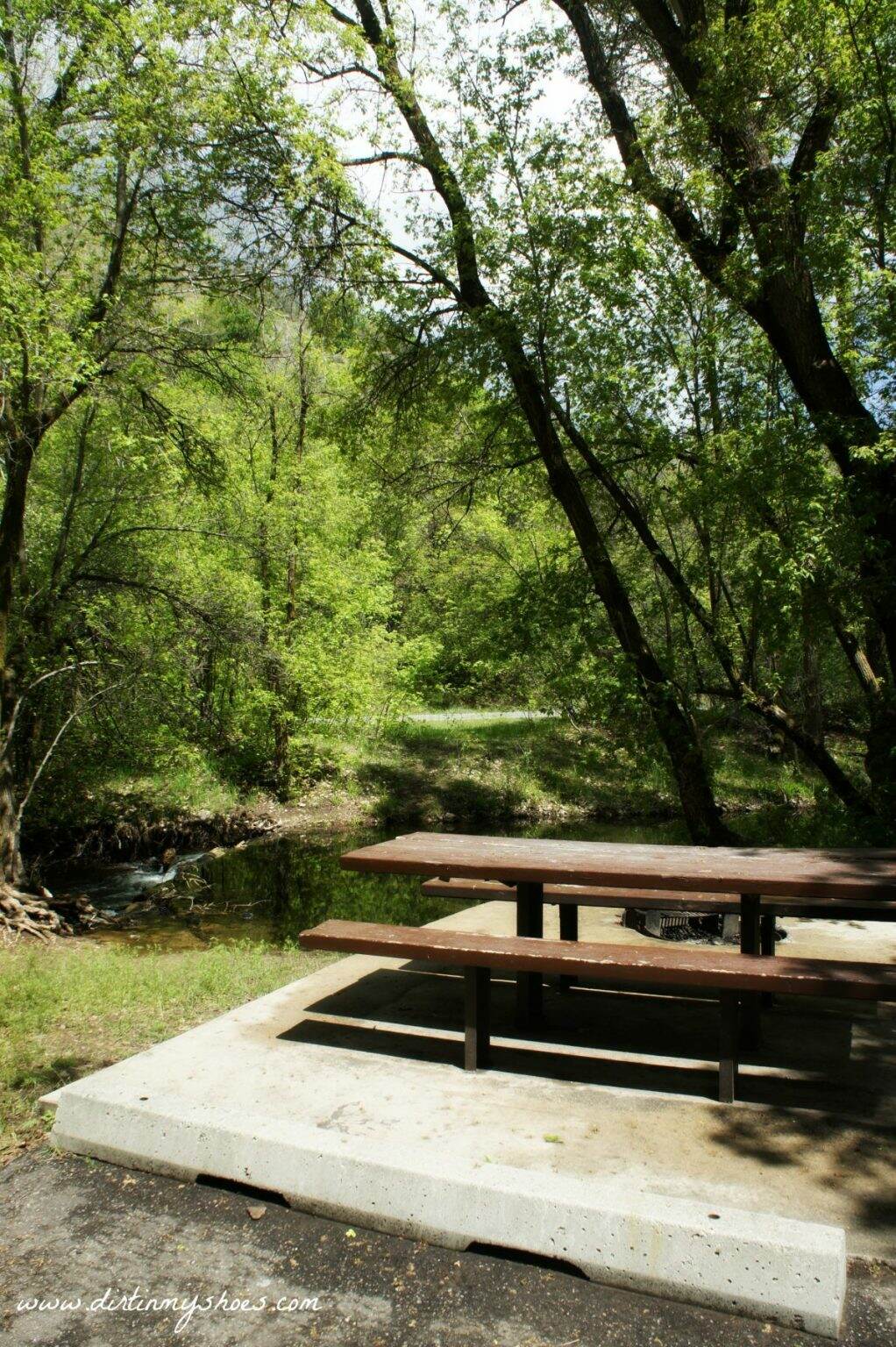 Escape to Cherry Ridge: Your Pennsylvania Campground Adventure Awaits!