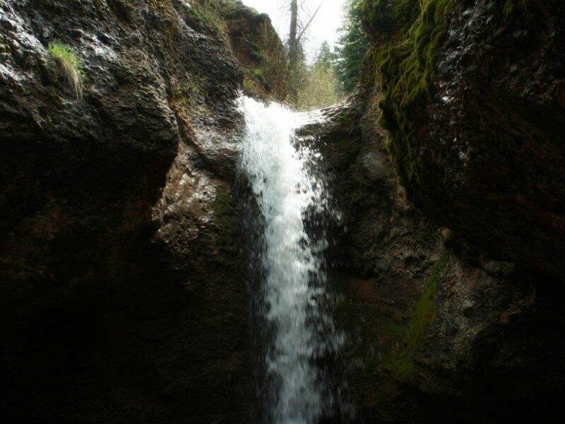 Hike! Utah - Grotto Falls Trail