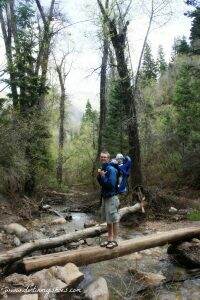 Hike! Utah - Grotto Trail Log Bridge