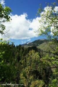 Hike! Utah - Payson Canyon