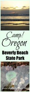 Camp at Beverly Beach || Oregon || Dirt In My Shoes