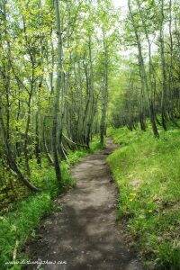 Hike! Utah - Stewart Falls || Provo Canyon || Dirt In My Shoes