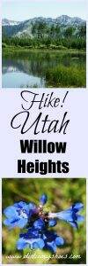 You'll love the hike to Willow Heights. This is a great trail for families near Salt Lake City!