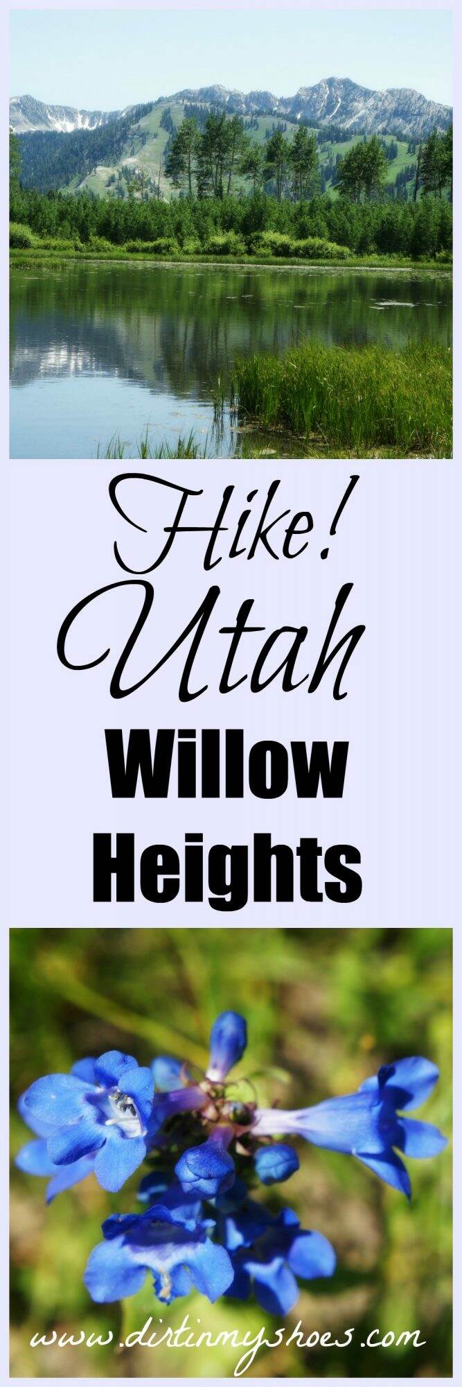 Hike! Utah Willow Heights Dirt In My Shoes