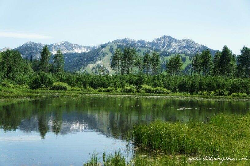 Hike! Utah Willow Heights Dirt In My Shoes