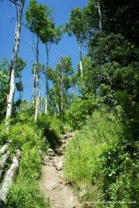 Willow Heights Trail || Utah || Dirt In My Shoes