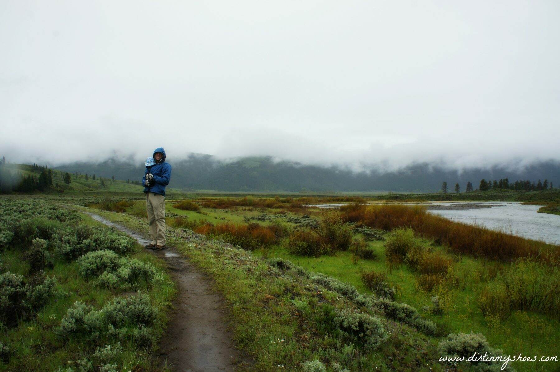 Lamar River Trail || Yellowstone National Park || Dirt In My Shoes