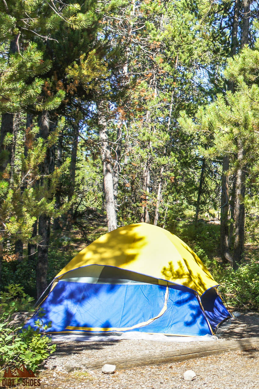 Lizard Creek Campground || Grand Teton National Park || Dirt In My Shoes