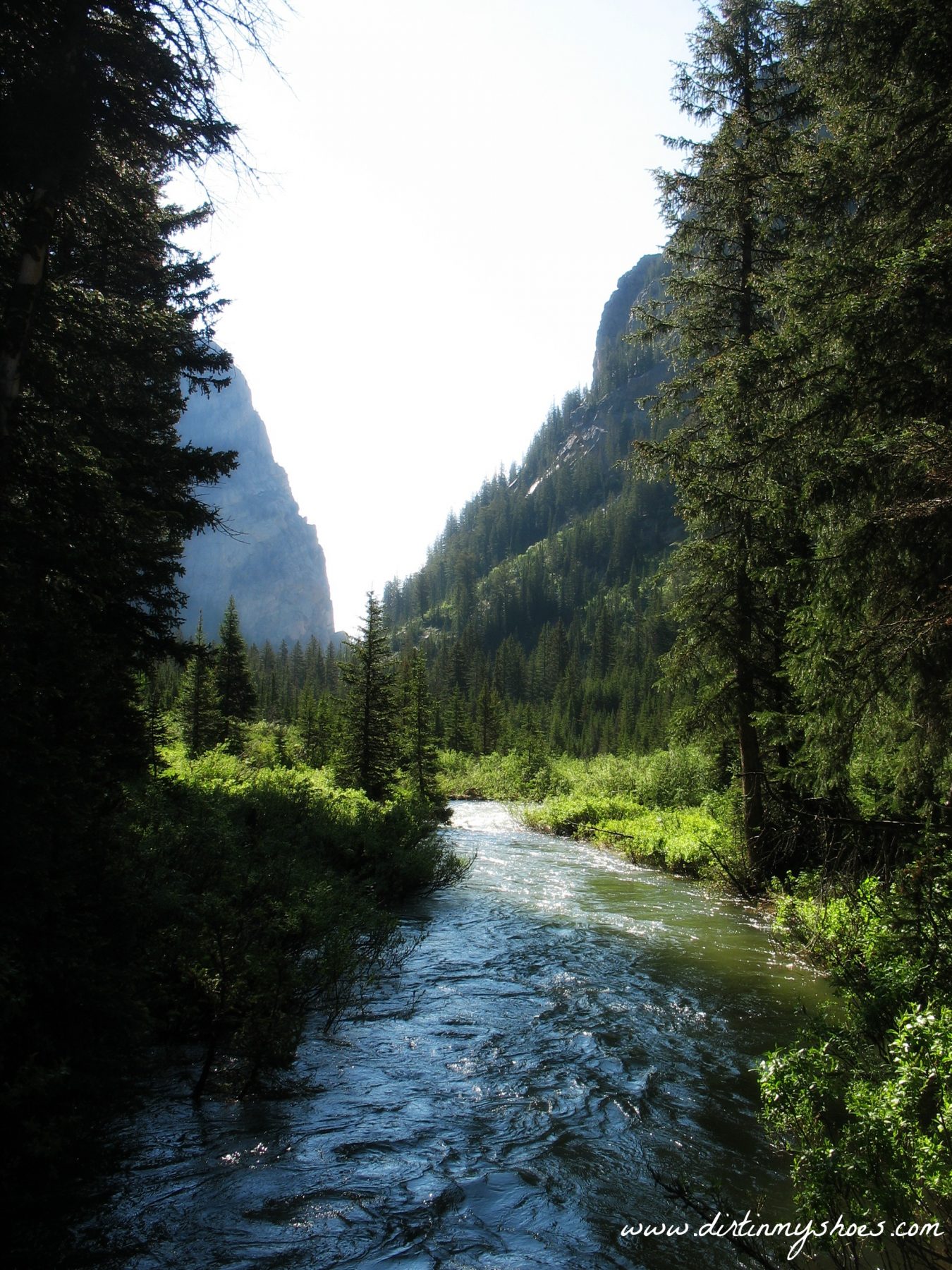 Death Canyon Trail Guide — Grand Teton National Park