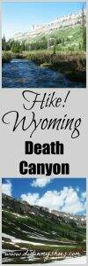Hike Death Canyon in Grand Teton National Park! This trail is amazing. Tips written by a former park ranger!