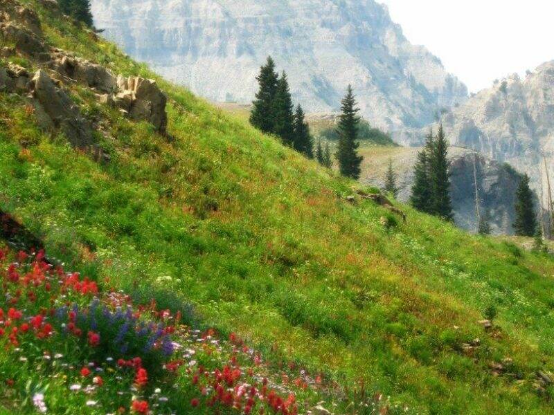 Mount Timpanogos || Utah || Dirt In My Shoes