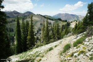 Sunset Peak Trail || Hike Utah || Dirt In My Shoes