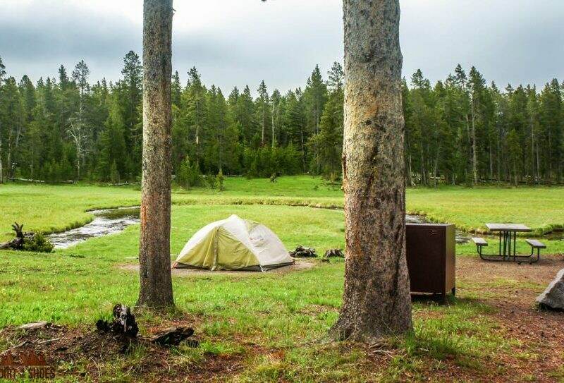 Norris Campground || Yellowstone National Park || Dirt In My Shoes