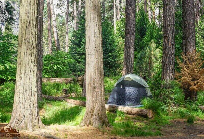 Lower Pines Campground || Yosemite National Park || Dirt In My Shoes