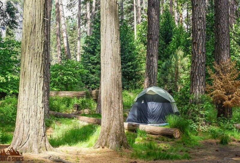 All About Camping in Yosemite National Park