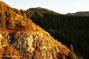 Crimson Trail || Logan, UT || Dirt In My Shoes