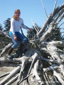 Driftwood || Glacier Bay National Park || Dirt In My Shoes