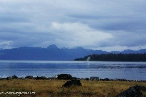 Humpback Whale || Glacier Bay National Park || Dirt In My Shoes