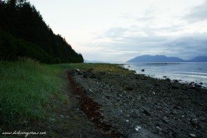 Intertidal Beach Zone || Glacier Bay National Park || Dirt In My Shoes