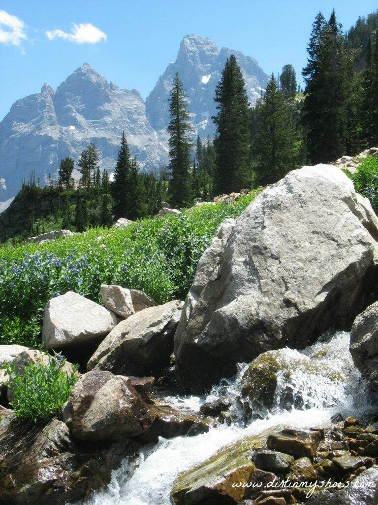 North Fork Cascade Canyon || Grand Teton National Park || Dirt In My Shoes