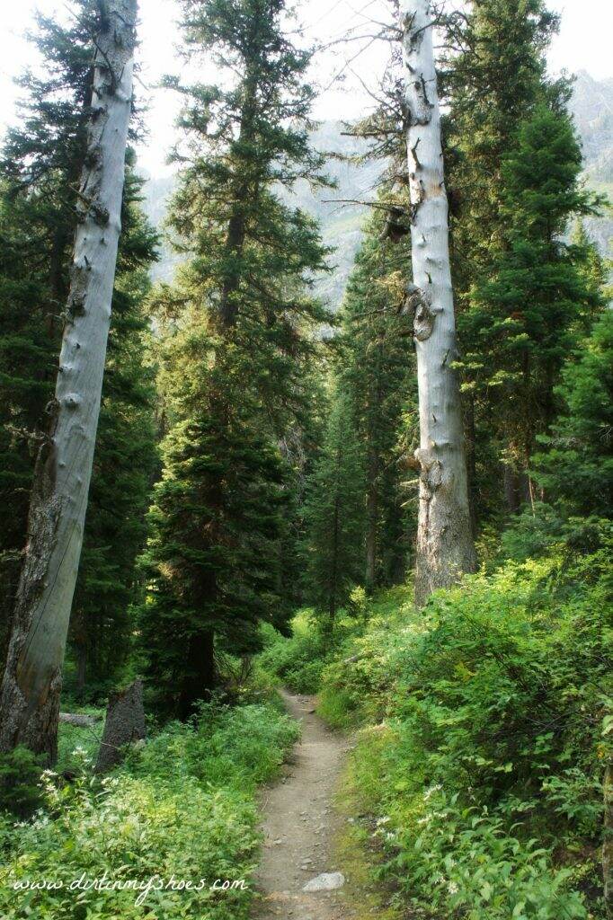 Lower Paintbrush Canyon || Grand Teton National Park || Dirt In My Shoes