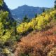Alpine Loop Fall Colors || Utah || Dirt In My Shoes