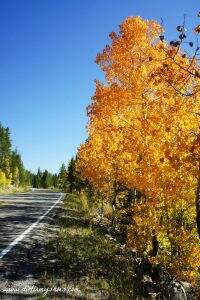 Fall Colors || Mirror Lake Highway, UT || Dirt In My Shoes