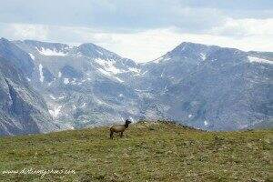 Rocky Mountain National Park || Dirt In My Shoes