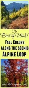 Fall Colors Along the Scenic Alpine Loop || American Fork, Utah || Dirt In My Shoes