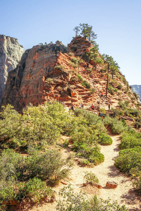 Scout Lookout || Angels Landing Trail || Dirt In My Shoes