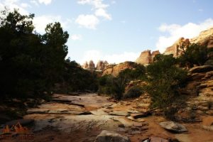 Druid Arch Trail || Canyonlands National Park || Dirt In My Shoes