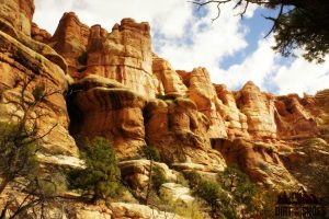 Druid Arch Trail || Canyonlands National Park || Dirt In My Shoes