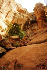 Druid Arch Trail || Canyonlands National Park || Dirt In My Shoes