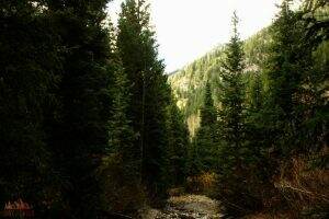 Donut Falls Trail || Utah || Dirt In My Shoes