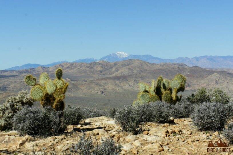 Top of Ryan Mountain || Joshua Tree National Park || Dirt In My Shoes