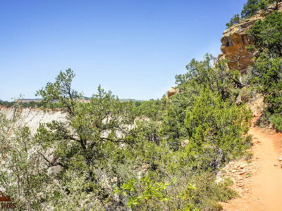 Observation Point || Zion National Park
