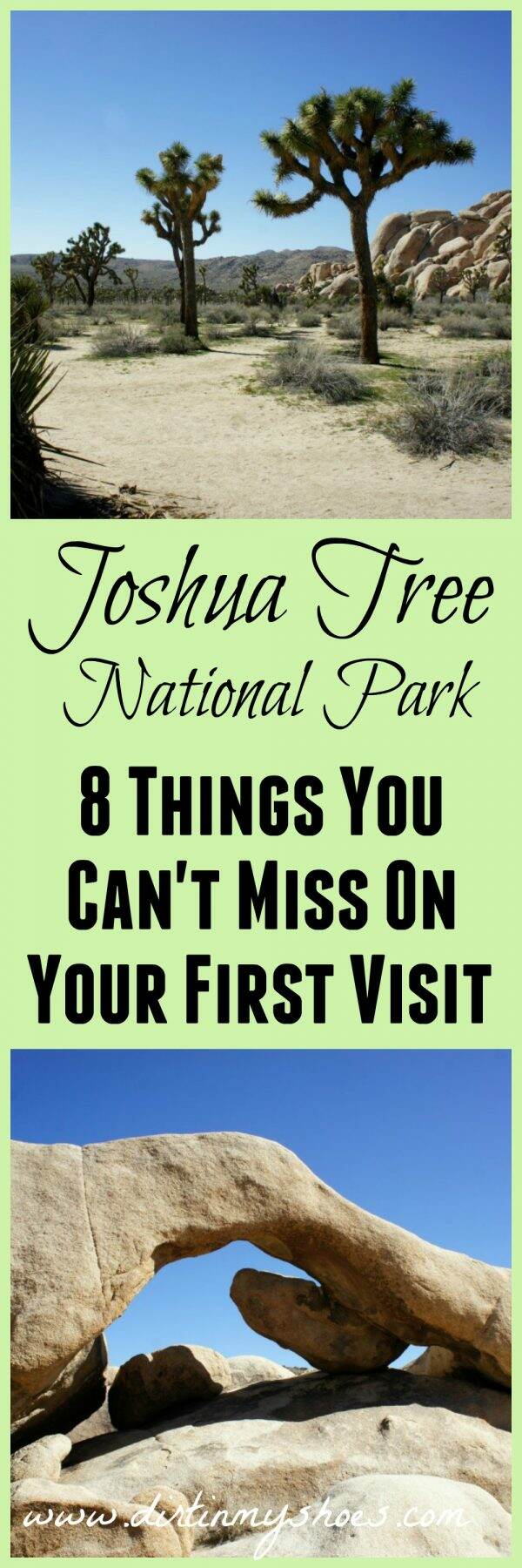 8 Things You Can't Miss on Your First Visit to Joshua Tree