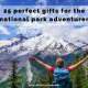 25 Perfect Gifts for the National Park Adventurer || Dirt In My Shoes