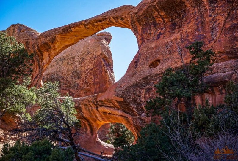 Arches National Park Devils Garden Trail Map Fasci Garden
