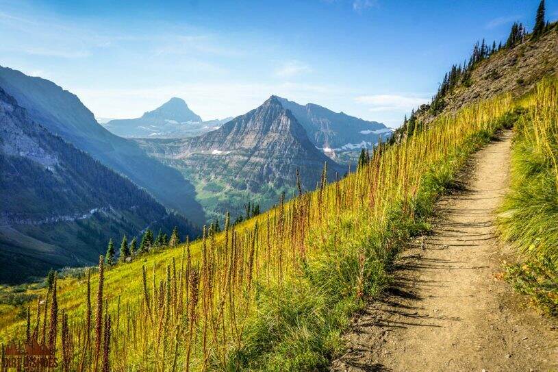 The Highline Trail Guide — Glacier National Park