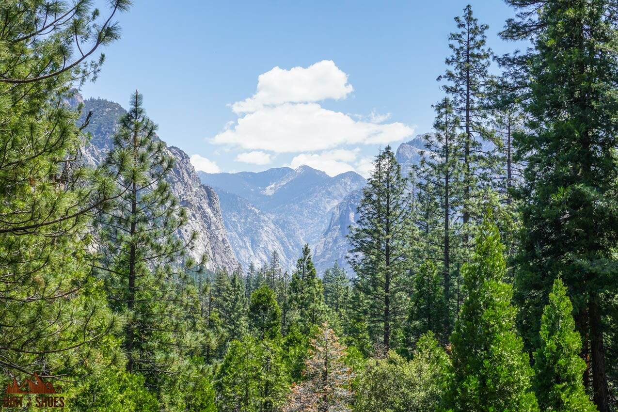 Canyon Overlook || Kings Canyon National Park || Dirt In My Shoes