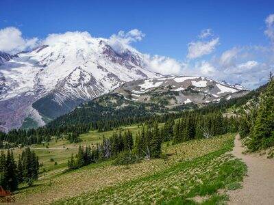 Sourdough Ridge Trail || Mount Rainier National Park || Dirt In My Shoes