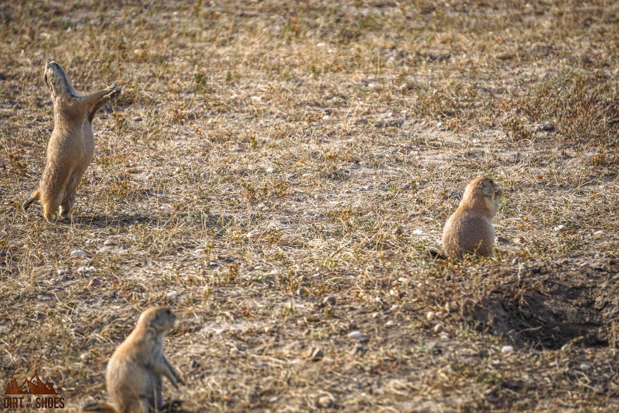 8 Things You Can t Miss On Your First Visit to Badlands Page 2 of 3