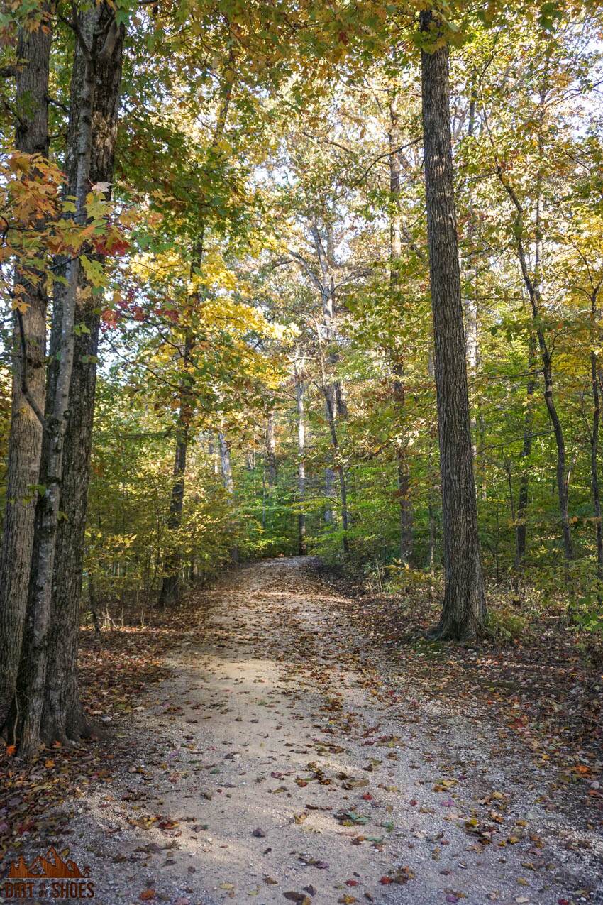 8 Things You Can t Miss On Your First Visit to Mammoth Cave Page