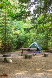 Avalanche Campground || Glacier National Park || Dirt In My Shoes