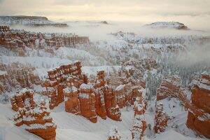 Bryce Canyon National Park || NPS Photo
