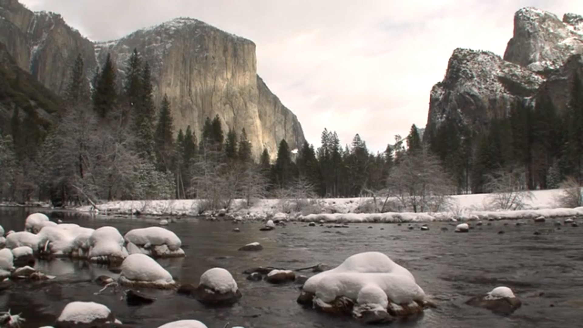 When is the Best Time to Visit Yosemite National Park? Dirt In My Shoes