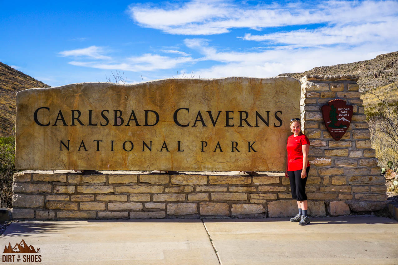 Ash at Carlsbad Caverns National Park, New Mexico