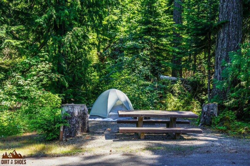 Camping in Olympic National Park || Heart O the Hills Campground || Dirt In My Shoes